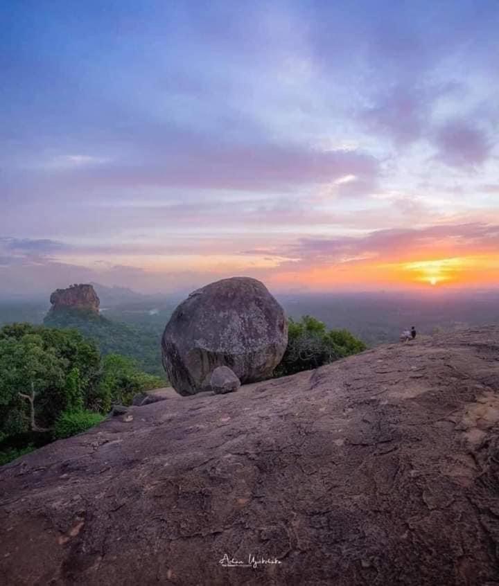 Sigiri Veenus Paradise Sigiriya Eksteriør billede